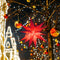 SALCAR 60 cm 3D Luminous Star Outdoor LED Star Illuminated Window Advent