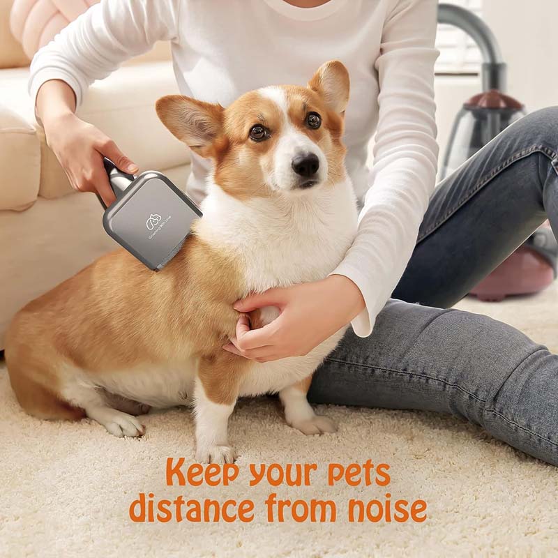 haustierb P10 Pet Grooming Vacuum Deshedding Brush Pet Grooming Tool Kit