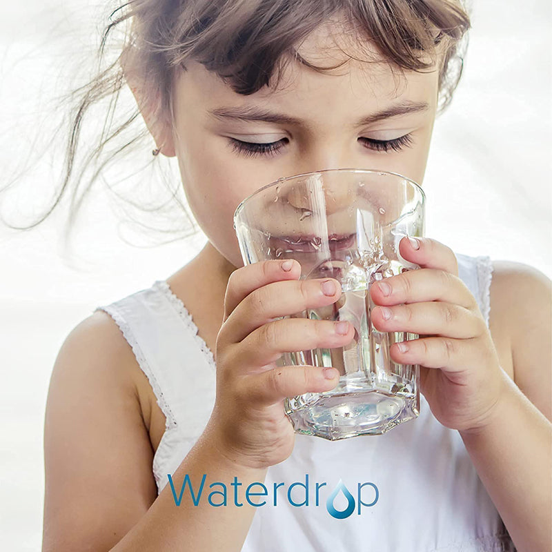 Waterdrop WD-PF-01A Plus Replacement Filters Pitcher Filtration System 200 Gallons (Pack of 3)