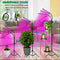 LED Plant Growing Lamps for Indoor Plants Growth with Stand 84 LEDs 3/6/12H Timer &amp; 4 Modes Adjustable Tripod 23-67 inch
