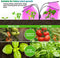 LED Plant Growing Lamps for Indoor Plants Growth with Stand 84 LEDs 3/6/12H Timer &amp; 4 Modes Adjustable Tripod 23-67 inch