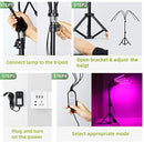 LED Plant Growing Lamps for Indoor Plants Growth with Stand 84 LEDs 3/6/12H Timer &amp; 4 Modes Adjustable Tripod 23-67 inch