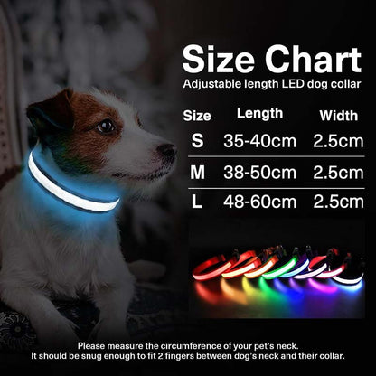 PcEoTllar Rechargeable Led Dog Collar with Automatic 7-Color Changes | Black, M