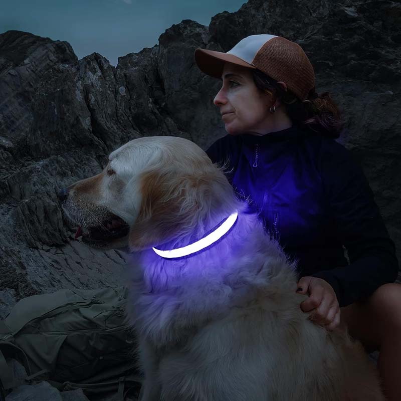 PcEoTllar Rechargeable Led Dog Collar with Automatic 7-Color Changes | Black, M