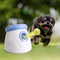 PetPrime Dog Automatic Ball Launcher Dog Interactive Toy Dog Fetch Toy Pet