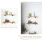RongFeng Set Of 2 Wood Floating Shelves, Rustic Wood Wall Shelves With Industrial Pipes