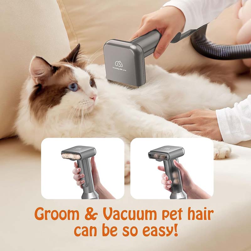 haustierb P10 Pet Grooming Vacuum Deshedding Brush Pet Grooming Tool Kit