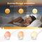 Hosome 5W Wake Up Light Alarm Clock With Sunrise Sunset Simulation | Model: JW-19909A - DealsnLots