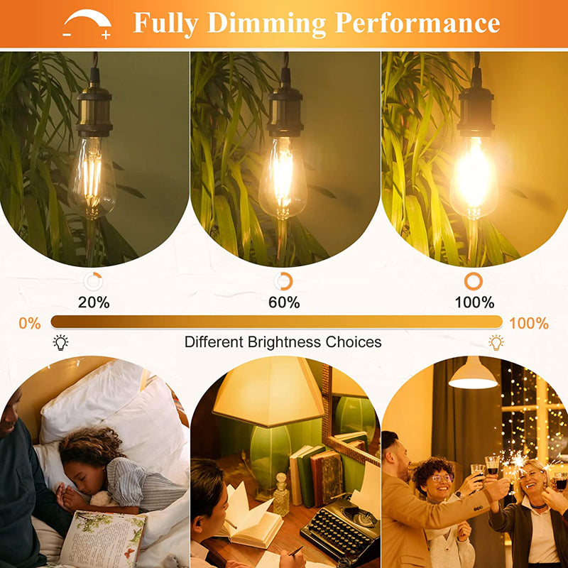 DiCUNO ST64 6W Vintage Edison LED Bulb 2700K Warm White 6 Pack