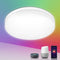 Lepro LE 15W 1250 lm Wi-Fi Smart LED Ceiling Light | PR901503-EU