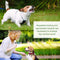 MODUS 2-in-1 Ultrasonic Dog Bark Control and Training - DealsnLots