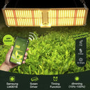 Maxkon 2000W LED Grow Light for Indoor Plants Full Spectrum Wireless Remote Control