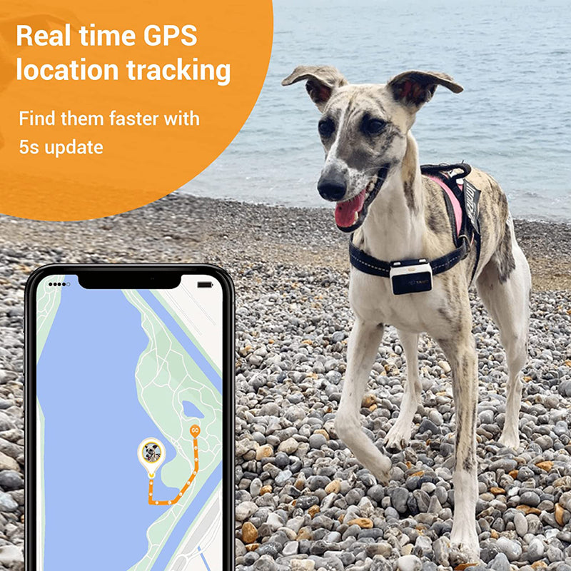 PAWFIT 2 Smarter Tracker for Dogs and Activity Monitor Petcare