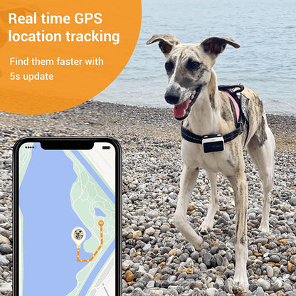 PAWFIT 2 Smarter Tracker for Dogs and Activity Monitor Petcare