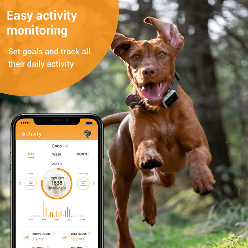 Pawfit tracker outlet