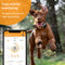 PAWFIT 2 Smarter Tracker for Dogs and Activity Monitor Petcare