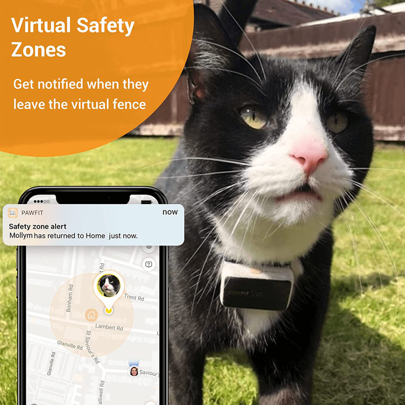 PAWFIT 2 Smarter Tracker for Dogs and Activity Monitor Petcare