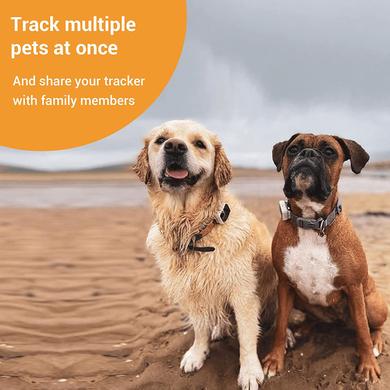 PAWFIT 2 Smarter Tracker for Dogs and Activity Monitor Petcare