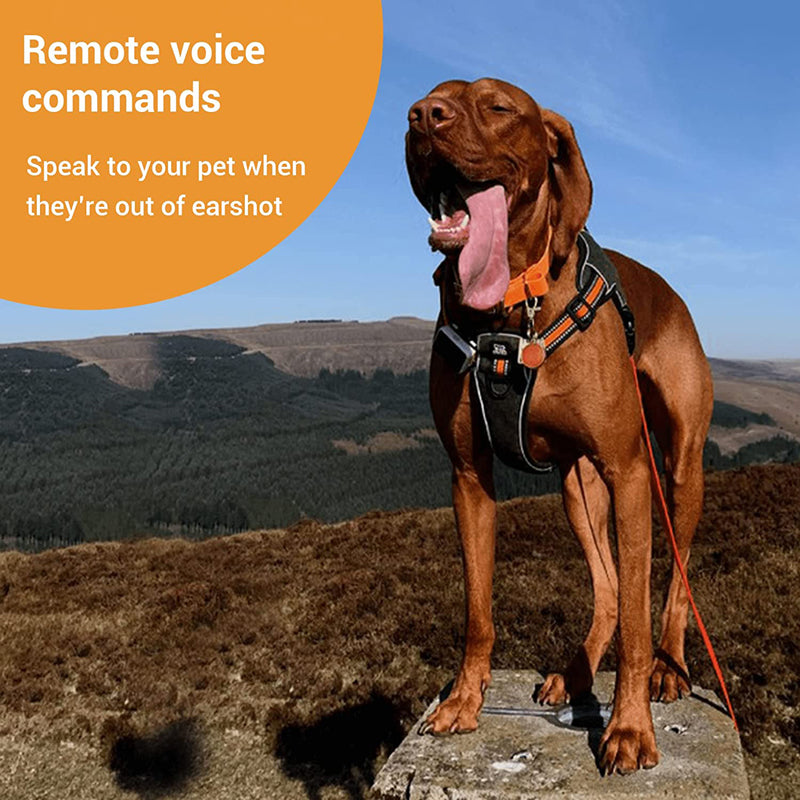 PAWFIT 2 Smarter Tracker for Dogs and Activity Monitor Petcare