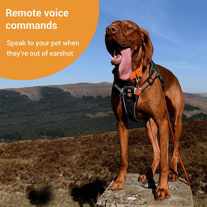 PAWFIT 2 Smarter Tracker for Dogs and Activity Monitor Petcare