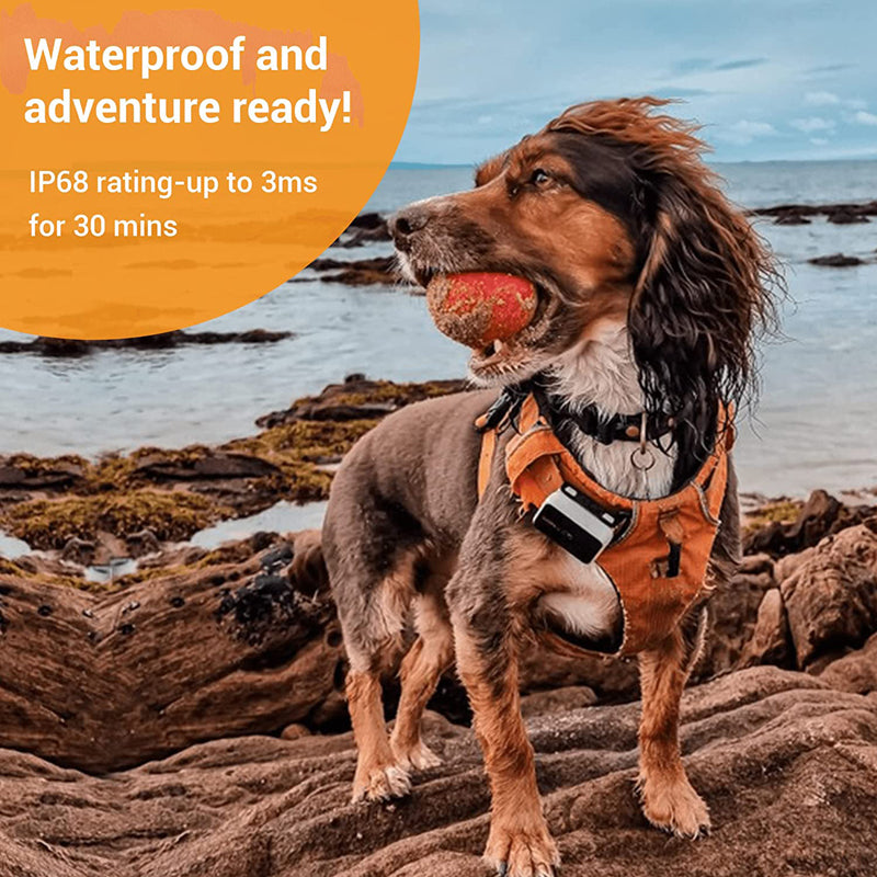PAWFIT 2 Smarter Tracker for Dogs and Activity Monitor Petcare