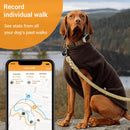 PAWFIT 2 Smarter Tracker for Dogs and Activity Monitor Petcare