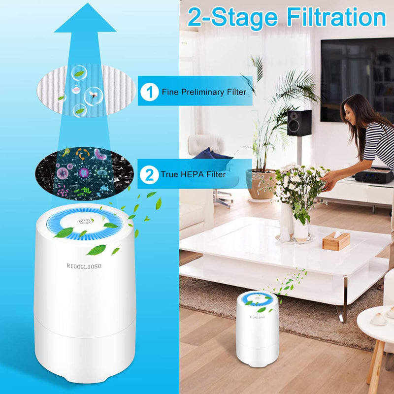 RIGOGLIOSO SY900S Air Purifier for Home Allergies and Pets at