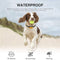 Trainertec SP13 Rechargeable Remote Spray Dog Training Collar - DealsnLots